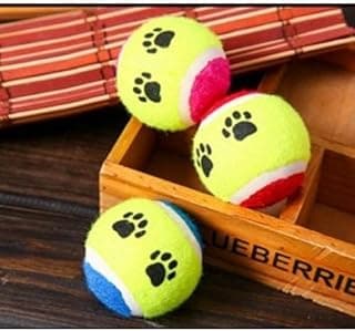 At Getir Köpek Eğitim Topu