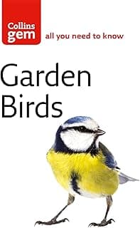 Garden Birds