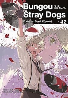 Bungou Stray Dogs 12
