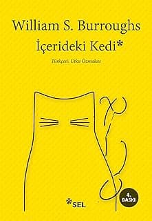 İçerdeki Kedi