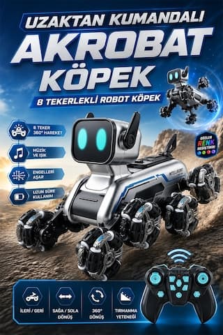 Uzaktan Kumandalı 8 Tekerli Akrobat Wall-e Benzeri Oyuncak Robot Köpek Araba 25 Cm. Gri