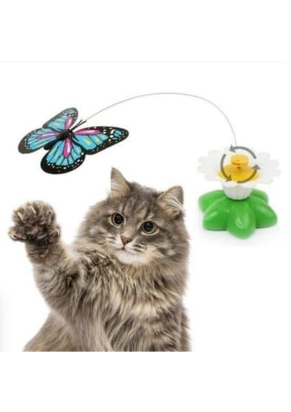 Bastet Store Pilli Kedi Oyuncağı, Hareket Eden Kelebek Kedi Oyuncağı, Kedi Aktivite Oyuncağı, Kedi