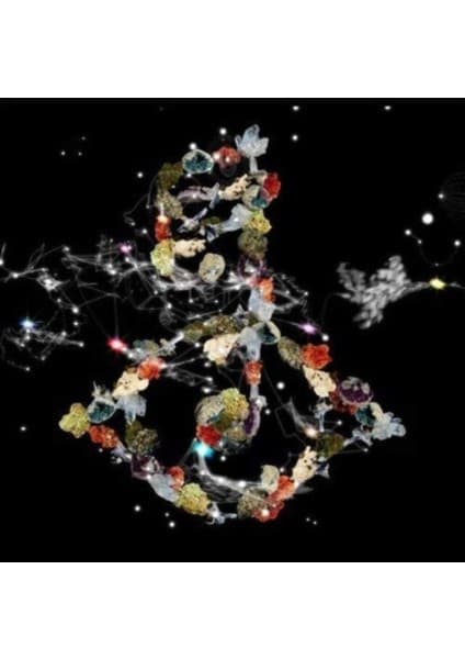 Björk - Biophilia - 2LP