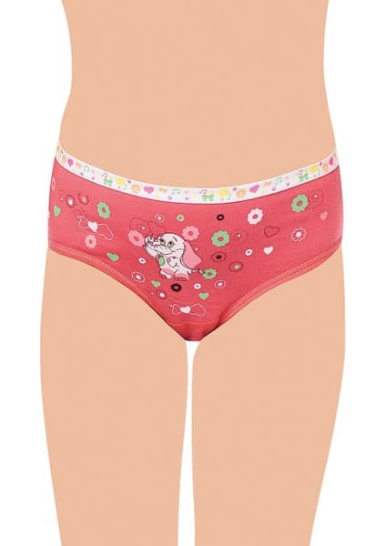 Tutku 832 Kız Çocuk Önü Baskılı Slip Külot