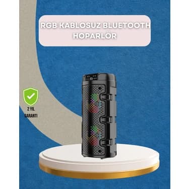 Hsc Bilişim Usb, Sd Kart ve Aux Girişli Taşınabilir