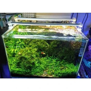 Mey İthalat Orionled Akvaryum Plastik LED Aydınlatma Beyaz 30CM