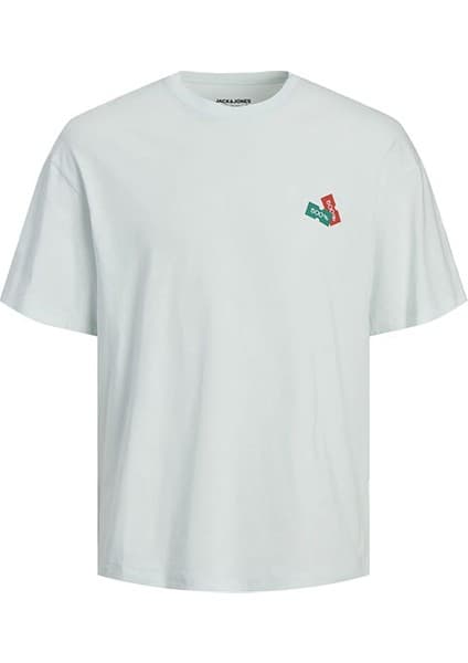 JJ Jordecal Erkek T-Shirt 12254175-Skylight Mavi