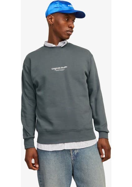 Jack & Jones Jorvesterbro Sweat Crew Neck Noos Erkek Gri Fiyatı