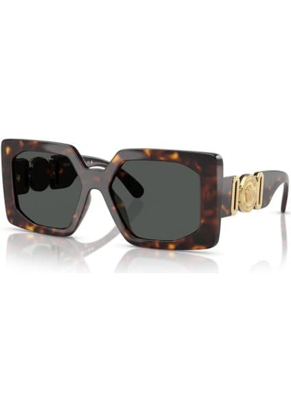 Versace 4478U 108/87 17-55 Unisex Güneş