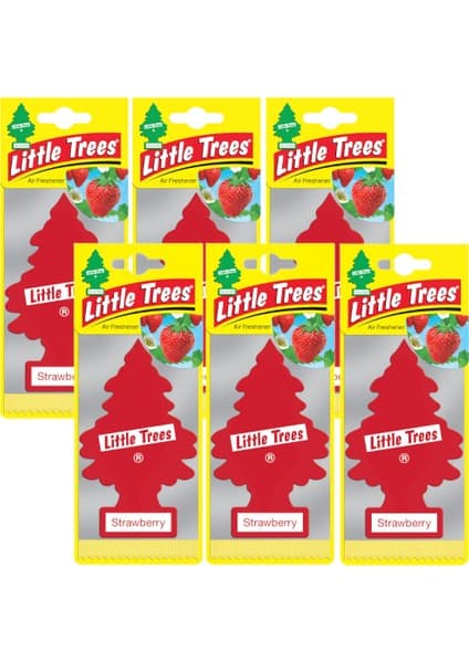 Car Freshner Asma Koku 6'lı
