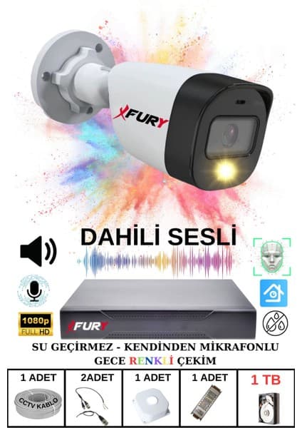 Fury 1 Li Sesli Gece Renkli Görüş Güvenlik Kamerası Su Geçirmez Güvenlik Kamerası Seti