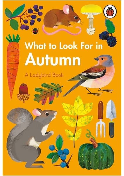 What To Look For In