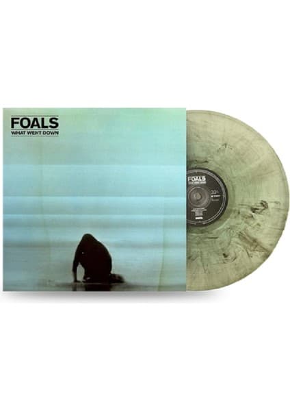 Warner Foals - What Went Down (10TH Anniversary) (Limited Fiyatı