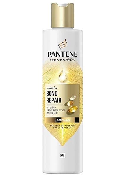Pantene Bond Repair Şampuan 250 ml 2