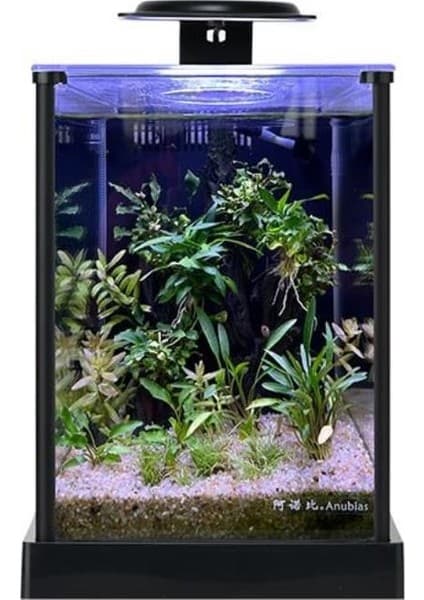 Anubias A168 Nano Akvaryum Set 18,7X23,7X25,8