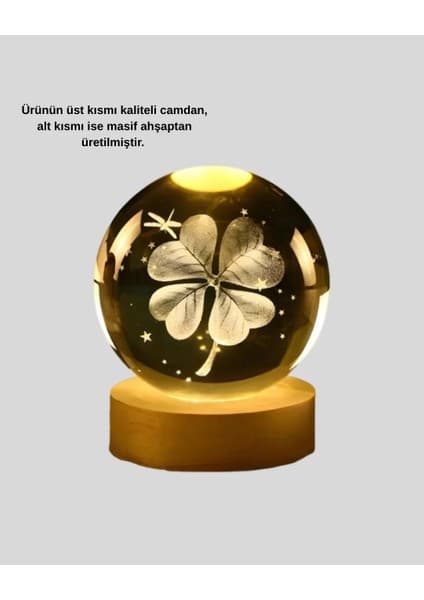 Enco Store USB Bağlantılı Yonca Bitkili Cam Küre Ahşap Altlıklı Dekoratif