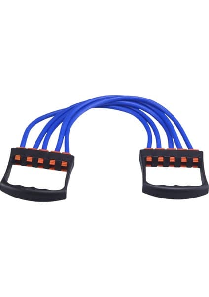 BSR305 Spor