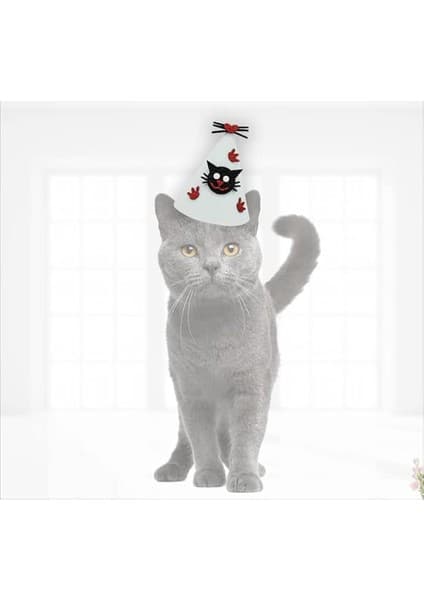 Süsle Bebek ve Parti Kedi Doğum Günü