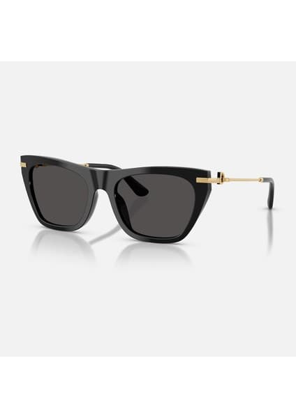 Dolce&gabbana 4511 501/87 55-19 Güneş