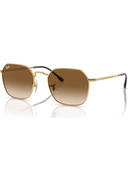 Ray-Ban RB3694 001/51 53 Kadın Güneş