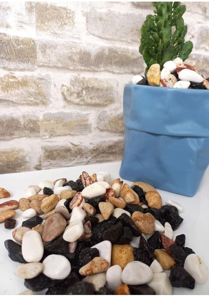 Asenya Renkli Çakıl Taşı 25 kg 1-2 cm Saksı Dibi Teraryum Saksı Süs Vazo Dibi Dekoratif