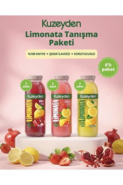 KUZEYDEN Limonata Tanışma Paketi | 6x250ml | İlave şeker, katkı ve koruyucu madde içermez | %100 Meyve