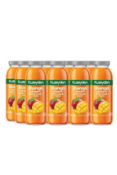 KUZEYDEN %100 Karışık Meyve Mango Suyu | 12x250ml | İlave şeker, katkı ve koruyucu madde içermez | 12 Adet |