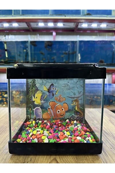 ErtargınShop Kare Mini Akvaryum SİYAH Renk 20x20x15 cm