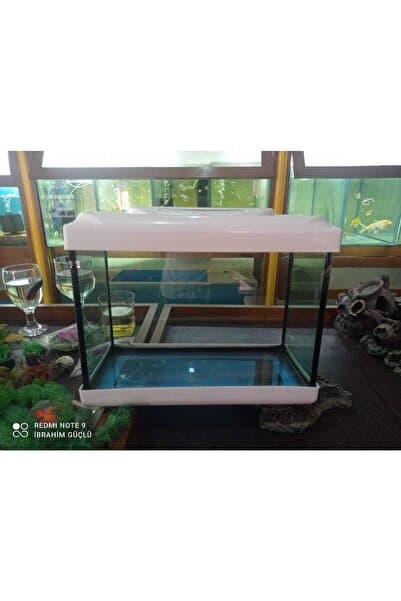 Genel Markalar 35cm Akvaryum Kırmızı Beyaz Siyah Sarı Mavi (35x25x15)