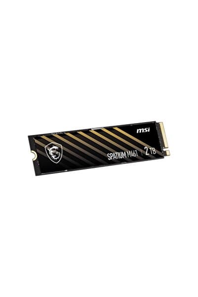 MSI Spatium M461 PCI-Express 4.0 2 TB M.2 SSD