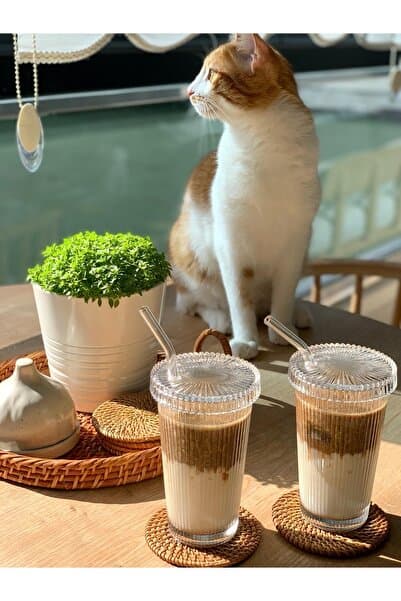 2 Adet 400 ml Cam Kapaklı Pipetli Origami Stil Cam Bardak | Kahve Ve Sunum Bardağı| Meşrubat Bardağı