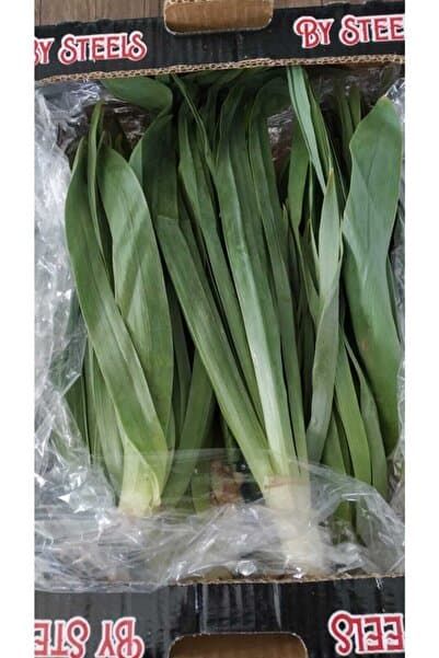 Çiriş (Gulik,Güllük) Dağ Pırasası1 Kg