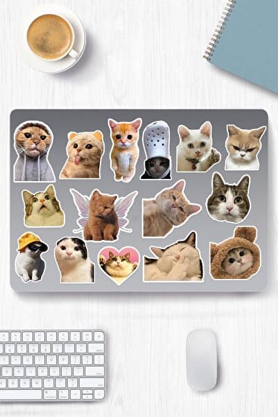 Kedi Temalı Sticker Etiket Seti - Cat Sticker - Laptop Notebook Telefon
