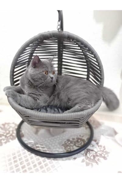 lüxperi Kedi Salıncağı & Kedi Yatağı (sabitleme Aparatlı)