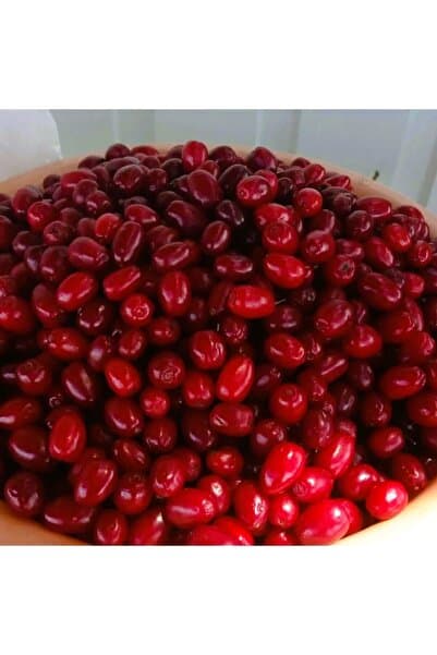 Erzurum İpekgurme Erzurum Ipek Gurme Tortum Taze-yaş Kızılcık Meyvesi 1 Kg Ipkg 4694