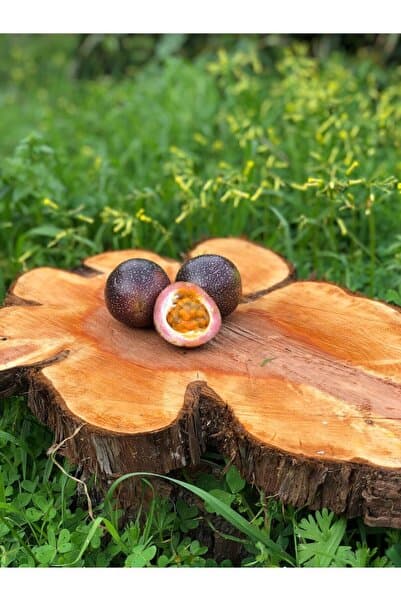 ARI ORGANIC Pasiflora 1kg (ÇARKIFELEK) Meyvesi (PASSİFLORA, PASSİON FRUİT, AŞK MEYVESİ) Ekşi