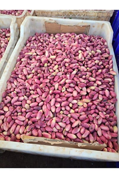 YücelFıstıkçım TAZE ANTEP FISTIGI (YAS BEN)1KG