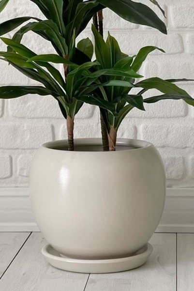 odka Küre Saksı Tabaklı 23cmx23cmx21cm Ekru Renk