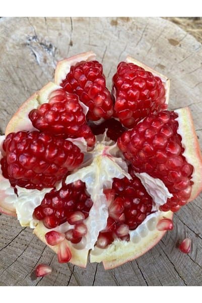 ANAMURMEYVECİM Hicaz Kırmızı Nar 2 Kg