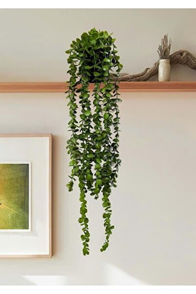 Yapay Çiçek Elmas Saksıda 80 Cm Yoğun Yapraklı Koyu Yeşil Okaliptus Sarkıt