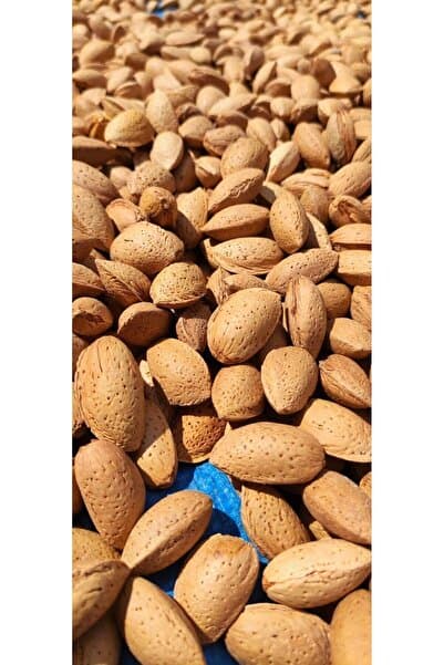 Ardıçlı Bahçe 3 Kg Kalıntı Analizli Kabuklu Badem Kendi Bahçemizden Yerli Üretim 2025 Yeni Hasat