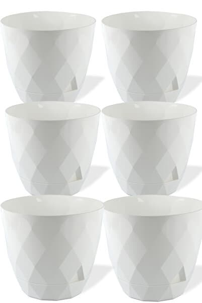 TEMMUZ HOME 2.4 Litre 6 Adet Baklava Desenli Tabaklı Plastik Saksı Karasu Plastik Yakamoz Saksı No3