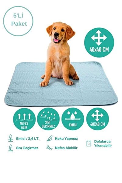 CARETEX Abso Yıkanabilir Emici Köpek Pedi 5'Li Paket Yeşil (40x40cm)