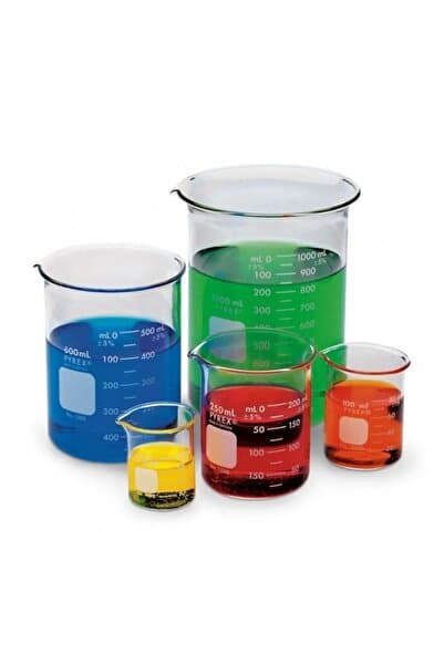 ERLAB Beher Cam 100 ml