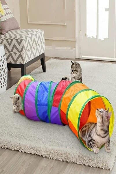TİNEKE Kıvrımlı Kedi Tüneli Katlanır Gökkuşağı Uzun Kedi Köpek Oyun Tüneli Evcil Hayvan Oyun Tüneli