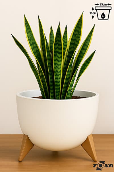 ToXA Ayaklı Küre Saksı 5 Litre 25cm Plastik Drenajlı Süzgeçli Bonsai Bitki Çiçek Saksısı Ufo No2