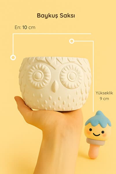 colorbuddie Baykuş Saksı - Güçlendirilmiş Beton Tozundan Figür Saksı
