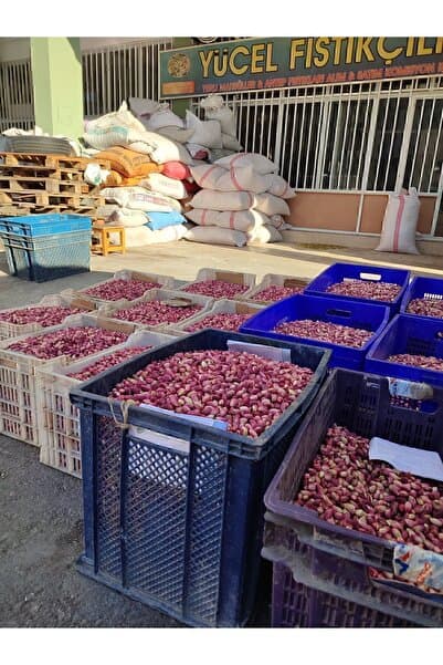 Yücel Fıstıkçılık Taze Yaş Antep Fıstığı 1 Kg