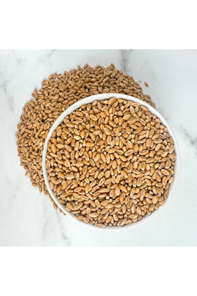 BFHOME Doğal buğday , İlaçsız, Yemlik Buğday Tohumu, 250 gram (Tavuk, Güvercin, Hindi, Ördek vb.)
