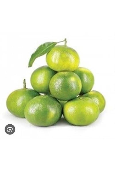 ADKTROPİKAL 1 KG MANDALİNA TAZE HASAT ANAMUR